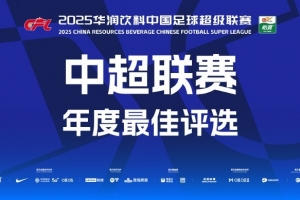 中超年度最佳球员候选：瓦科、王钰栋、莱昂纳多在列，无克雷桑