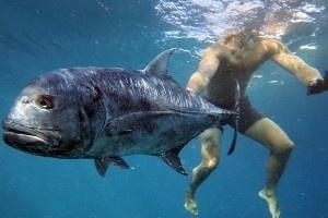 29岁失业人员！本·西蒙斯晒近照：深潜 烤肉 出海 日光浴